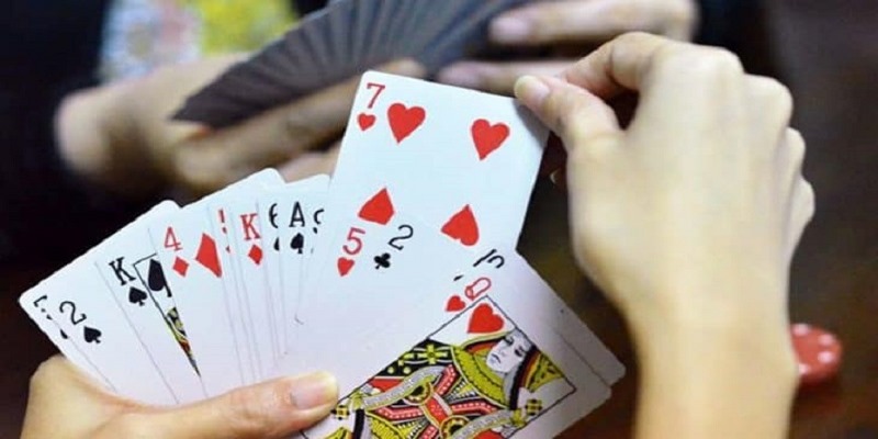 Bài Tấn không chỉ là một trò chơi mang tính giải trí cao