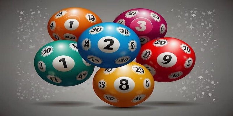Tổng hợp các cách bắt đề 4 càng hiệu quả